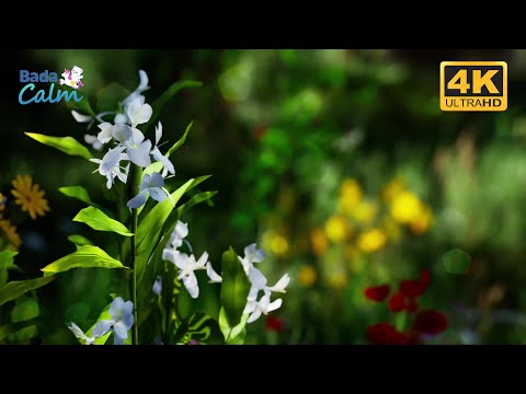 [4K] Creative Meditation for Kids | Imagination in the Clouds | Badanamu Calm