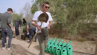 Ghaf Tree Planting with Dubai Chambers | CSR activity by Companies for Good