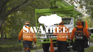 SavATree Careers