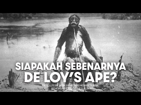 How Do These Ancient Animals Hide in the Venezuelan Jungle? | #LearnAncientWorld