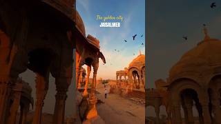 Jaisalmer Diaries 💛
