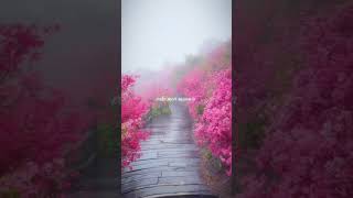Bolna halke halke #kk_lyrics_07 #love #kkedits