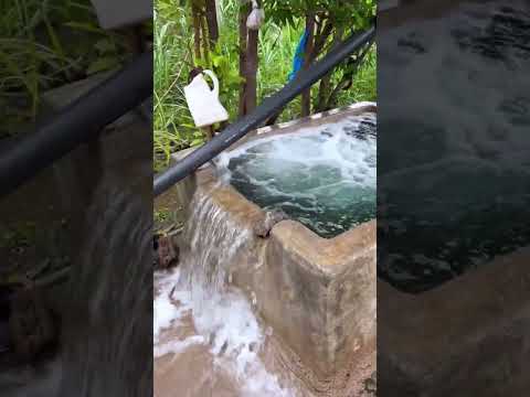 Natural Water Flow System in the Village 🌿💧 – So Satisfying! #nature #waterflow #villagelife