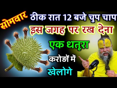 एक धतूरा इस जगह पर चुप चाप रख देना रात ठीक 12 बजे करोड़ों में खेलोगे | Best motivational video