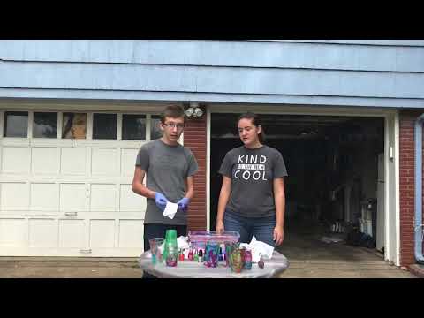 STEM Time with Sophie and Gage: Hydrodipping!