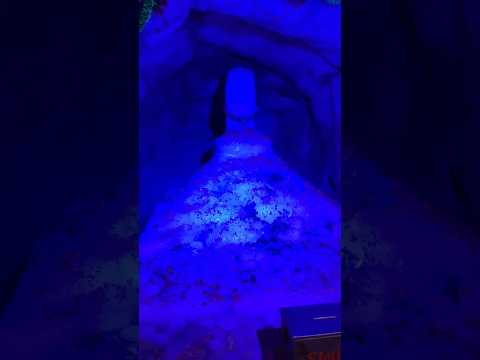 Har Har Mahadev || #tiktok #trending #realities