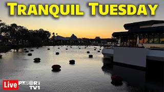 🔴Live: Tranquil Tuesday at Epcot - 4-28-26 - Walt Disney World Live Stream