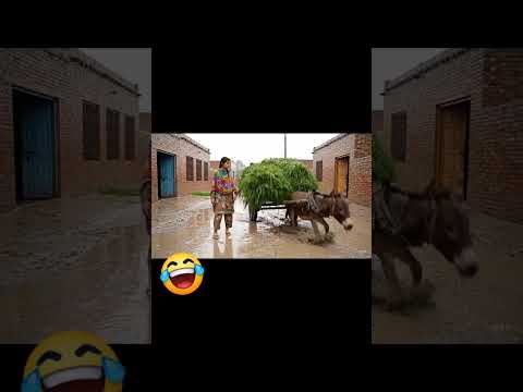 funny short reel
