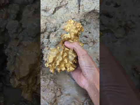 super big gold mined #goldhunter #goldminer