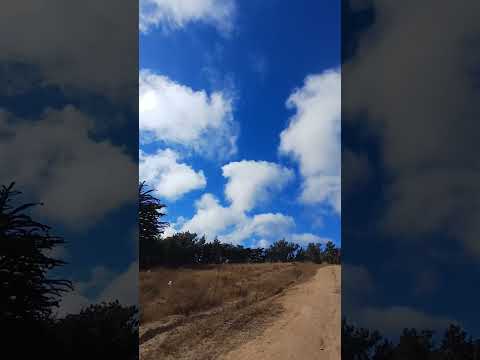 cielo el tabo