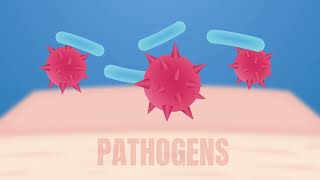 Skin – negative feedback mechanism, thermoregulation - WJEC GCSE Biology – Sci double award -ENGLISH