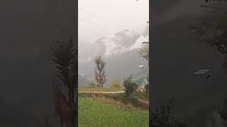 #waytokedarnath  🌧️🌨️🌧️🌨️🌧️🌩️
