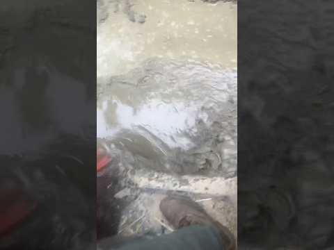Quad ride #subscribe #shortvideo #quads
