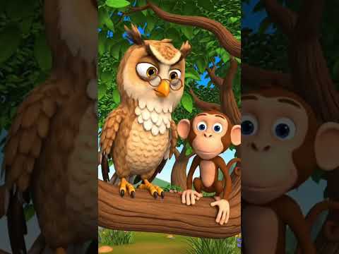 Jangle may school | funny story | cartoon channel by cartoon planet