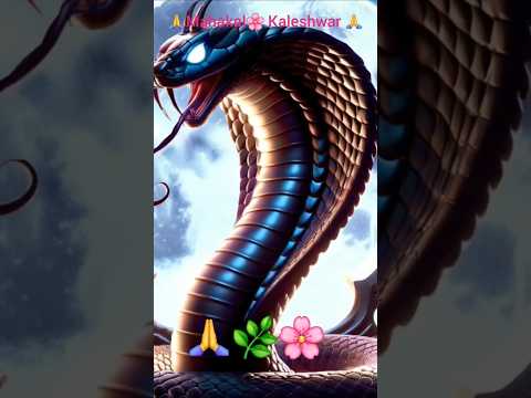 🌿✨हर हर महादेव शम्भु 🕉️✨🕉️#hindugod #hindudeity #mahadevstatus #jaimahakal #bholenath #trendingshort