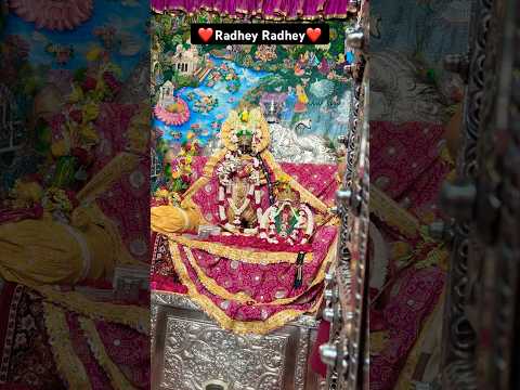 श्री जी के सुबह के दर्शन #trending #vrindavan #bankebihari #radharani #shorts