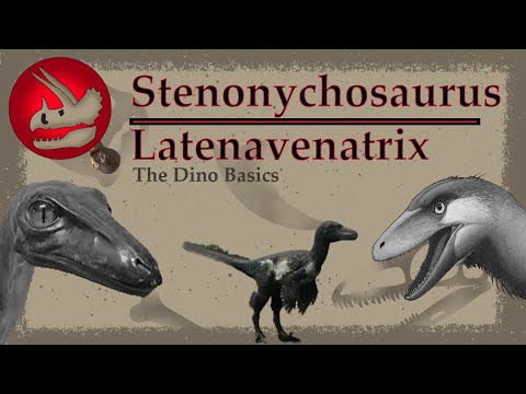 Stenonychosaurus/Latenivenatrix | The True Troodon | Dino Basics