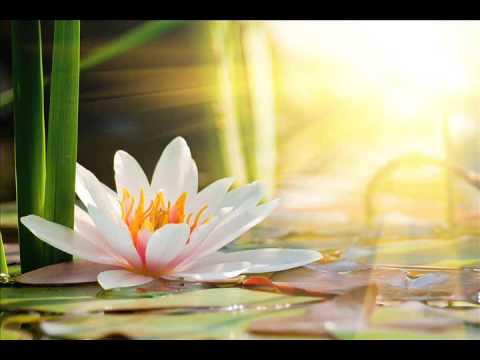 Kelsang Chukie Tethong - A Woman's Spiritual Chants (Prayers & Mantras for Healing)