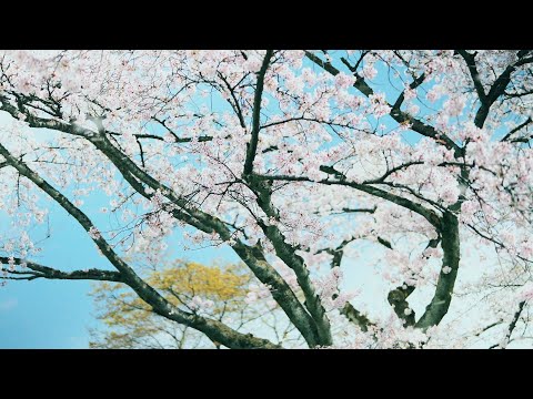 株式会社泉　会社紹介vol.5