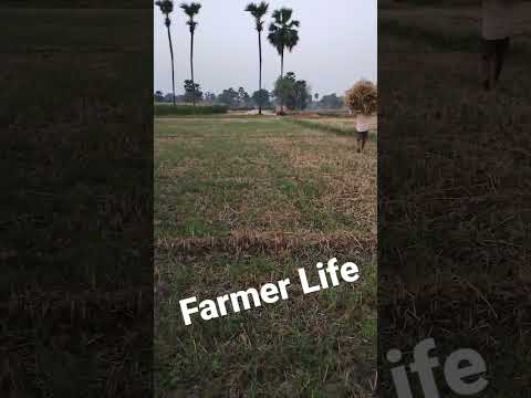 Farming short video | Free agriculture videos | Farmer animation video | #kishan #farmerlife #shorts