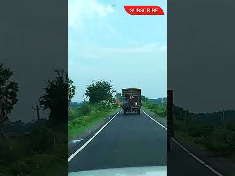 Experience Nature's Beauty with Your Favorite Automobile