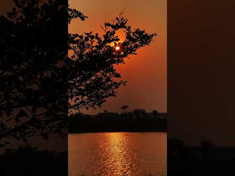 Sunset lakeview, calm and relaxing #nature #shorts