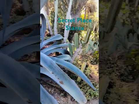 Secret Place Stanza