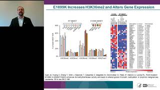 Inhibitors of NSD2 Discovered by High-Throughput Screening with a Nucleosome Substrate