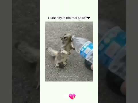 Humanity #shorts