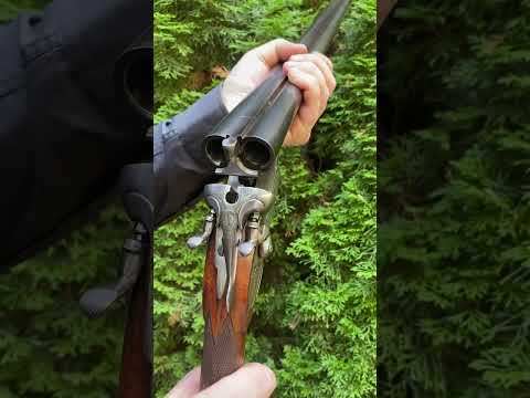 Braddell & Son Double Barrel English Shotgun