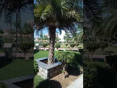 Life lives Here in Hari Ashray Nagar, Haridwar