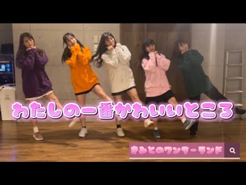 わたしの一番かわいいところ【踊ってみた】