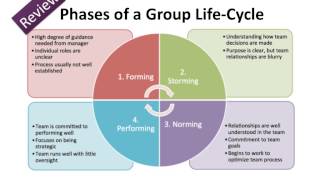 Module 2 Team Dynamics & Relationships In-Service
