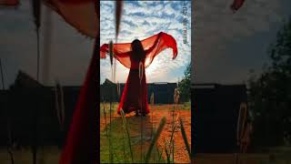 New tarpa music status #trending #shorts #varlisong