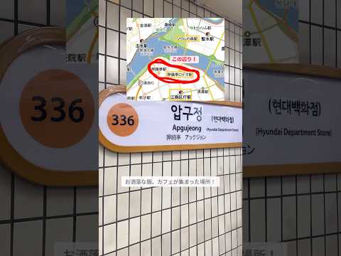 【Vlog】可愛すぎる韓国洋服を爆買いvlog💸今韓国で流行りのブランド👕🇰🇷#韓国