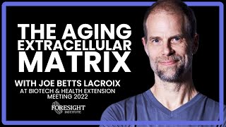 Joe Betts Lacroix, Retro | The Aging Extracellular Matrix