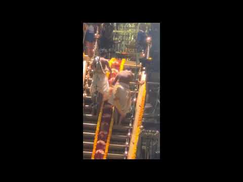 Ayyappa swamy maha padi pooja @sabarimalai #ayyappa #sabarimala #ayyappan #ayyappaswamysongs