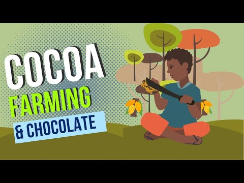 Cocoa Farming and Chocolate