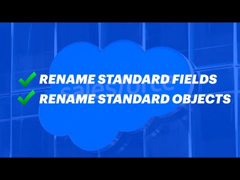 Rename Standard Fields & Standard Objects In Salesforce