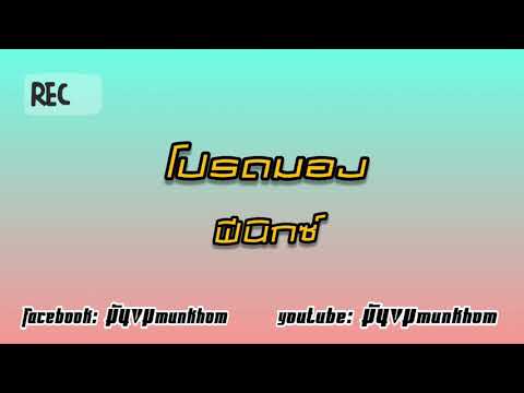 โปรดมอง|วงฟีนิกซ์|#tiktok#กำลังฮิต