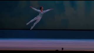 TCHAIKOVISKY PAS DE DEUX - Variation (Semyon Chudin)