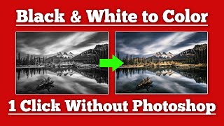 How to Make Black & White Photo to Color Photo in 1 Click