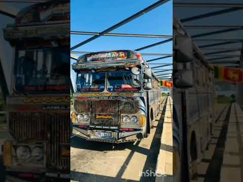 පස්දුන් කෝළරයට බැස්ස දළ ඇතා ගෞරව Revolution cheguwera @LNRBUSKINGDOM-dl9ql #bus