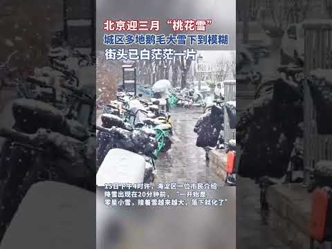 北京迎三月“桃花雪”，城区多地鹅毛大雪下到模糊，街头已白茫茫一片