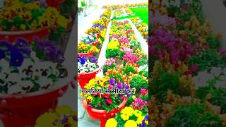 सक्सेस कैसे मिलती है ✅💯#shortsfeed #motivacional #viralshort #youtubeshorts #trending #shorts
