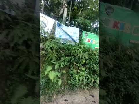 tresspass pa @lokong tv