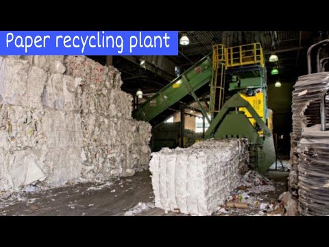 रद्दी कागज का पुनर्चक्रण | waste Paper Recycling plant | Recycling machine