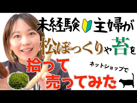 【拾った物を売る副業?】苔や松ぼっくりを拾って販売する在宅ワークをやってみたら‥自分のネットショップ作って販売したら思わぬ展開に!?