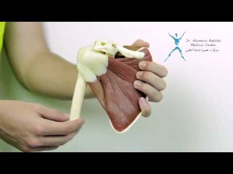 Exercises for Shoulder Bursitis & Shoulder Impingement Relief