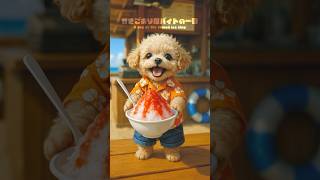 「モカのかき氷屋バイトの1日に密着🍧」#dog #cute #バイト #動物 #犬 #トイプードル #shorts